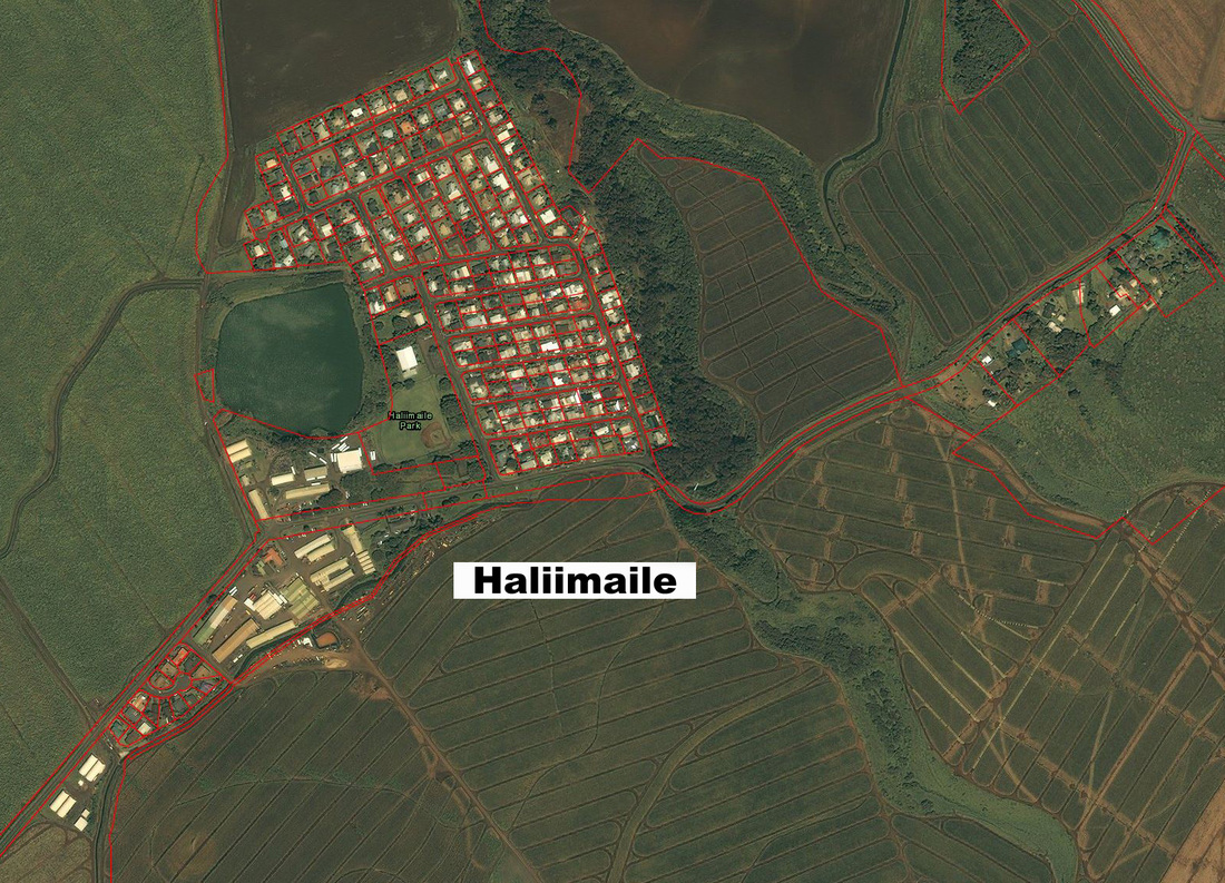 Haliimaile Map